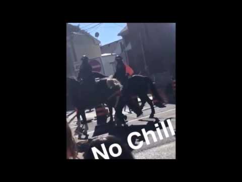 Woman Kicked by Police Horse