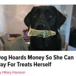 23Sept17 dog money instead