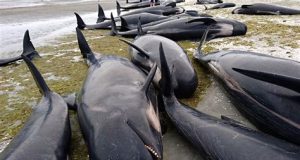 Western Civilization in Peril – Ken’s Thought of the Week