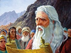 Respecting the Torah vs Respecting the Constitution – Ken’s Thought of the Week