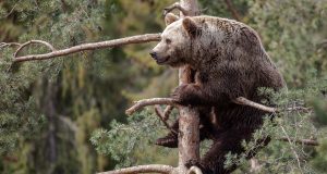 Op-Ed: Putin’s Choices Are Poor