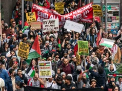 Guest Editorial: Despair from the Advanced World